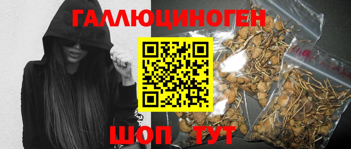 Шумерля  Галлюциногенные грибы ЛСД  Галлюциногенные грибы GOLDEN TEACHER  Вход с VPN 
