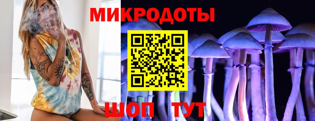 Галлюциногенные грибы мицелий Шумерля
