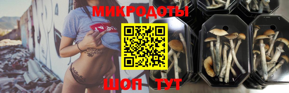 Галлюциногенные грибы прущие грибы  Шумерля 